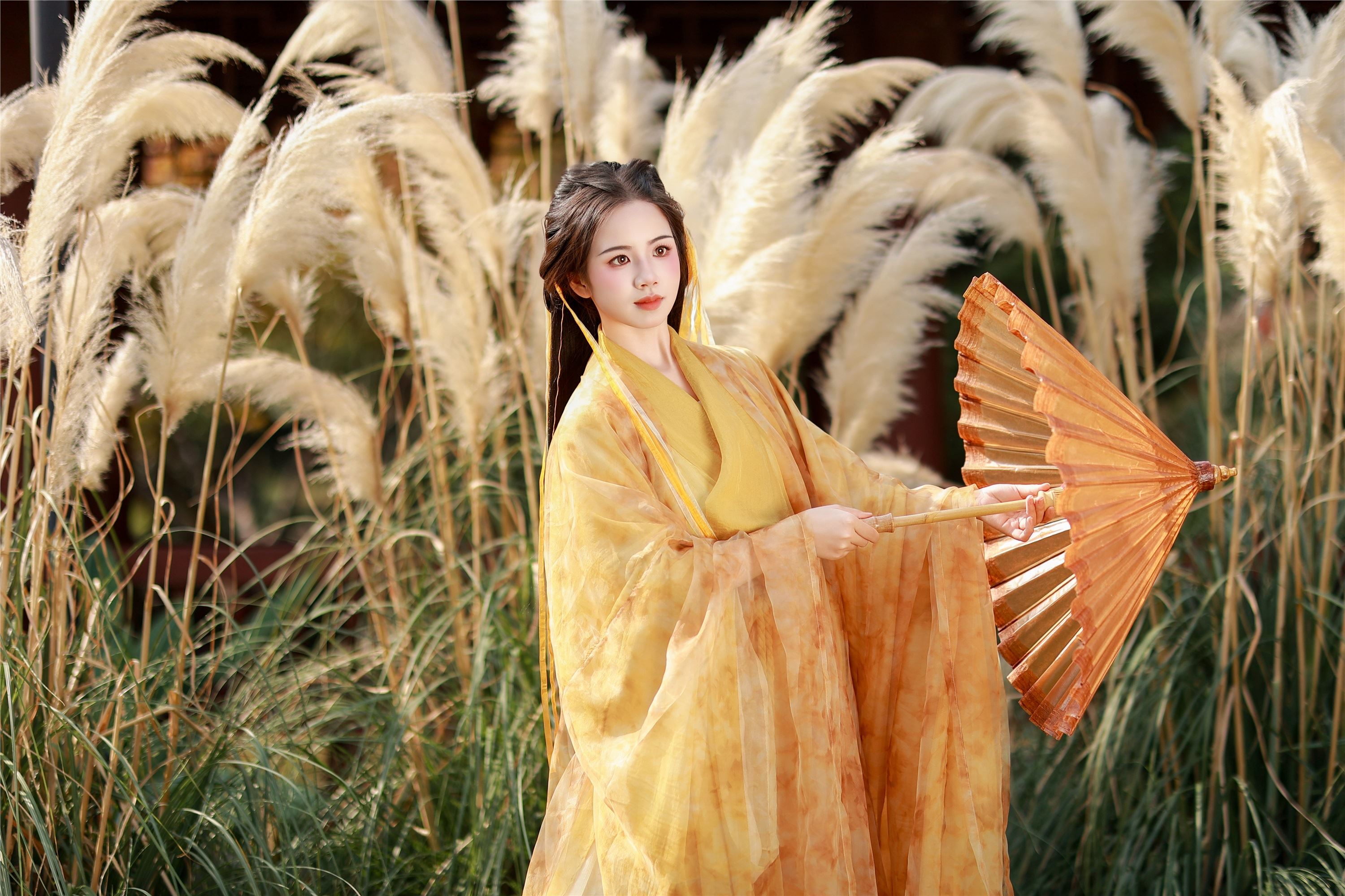 YITUYU艺图语 2025.01.26 黄衫女子 小杜同学